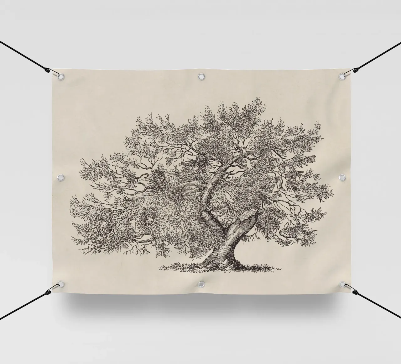 Tree Sketch - Broken Trunk telo in pvc da apoloprints