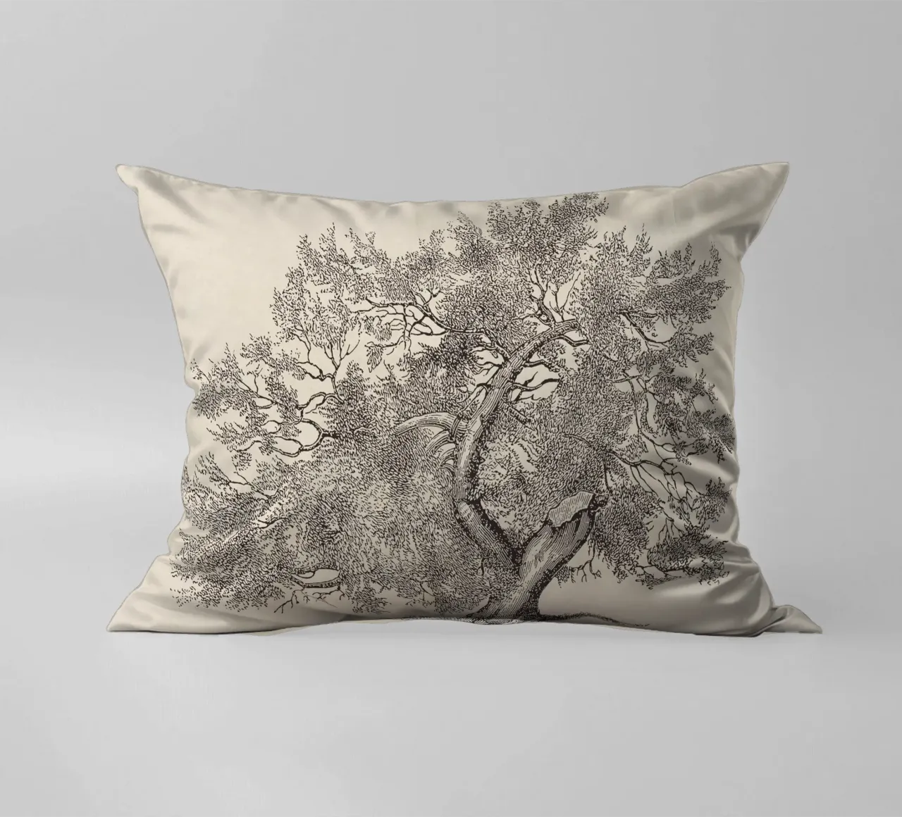 Tree Sketch - Broken Trunk cuscino da apoloprints