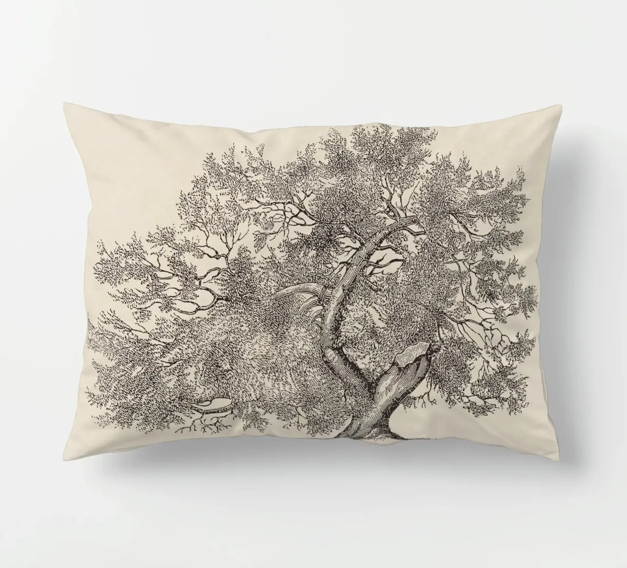 Tree Sketch - Broken Trunk Kissen von apoloprints