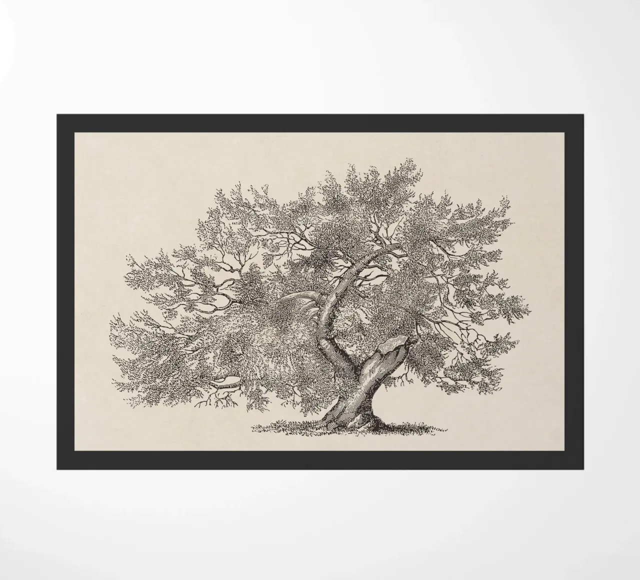 Tree Sketch - Broken Trunk zerbino da apoloprints
