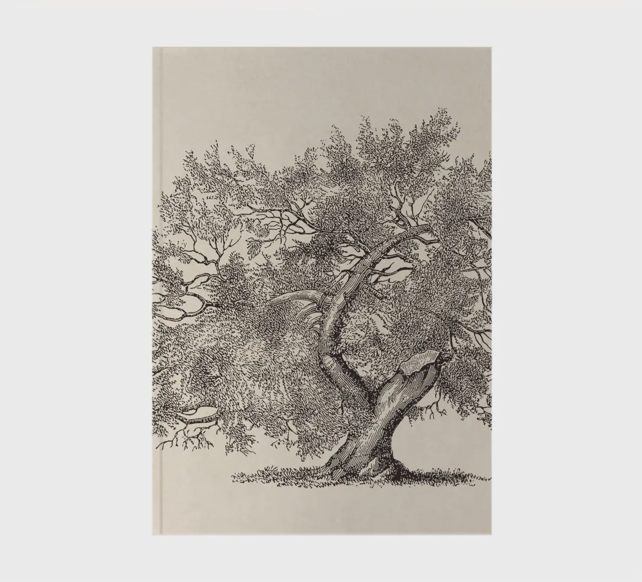 Tree Sketch - Broken Trunk notebook by apoloprints