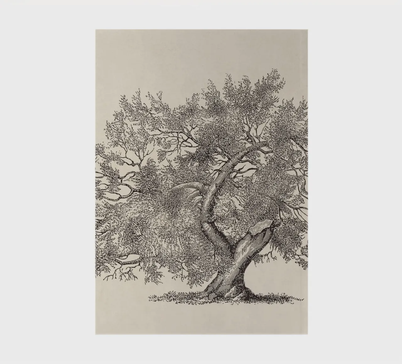 Tree Sketch - Broken Trunk notebook by apoloprints