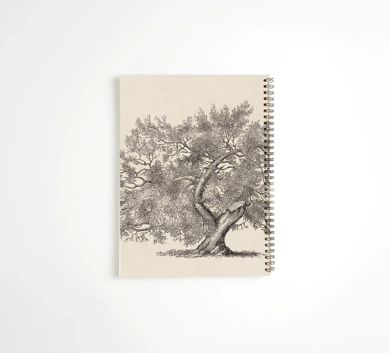 Tree Sketch - Broken Trunk diario ad anelli da apoloprints
