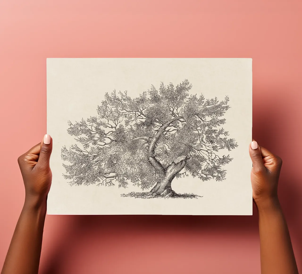 Tree Sketch - Broken Trunk Stickerbogen von apoloprints