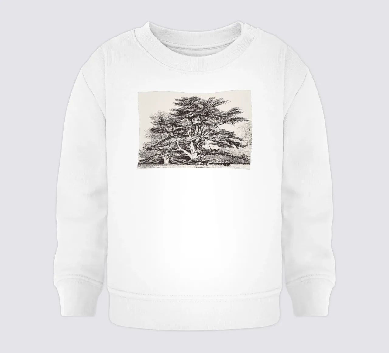 Cedar of Lebanon Tree Landscape felpa neonato da apoloprints
