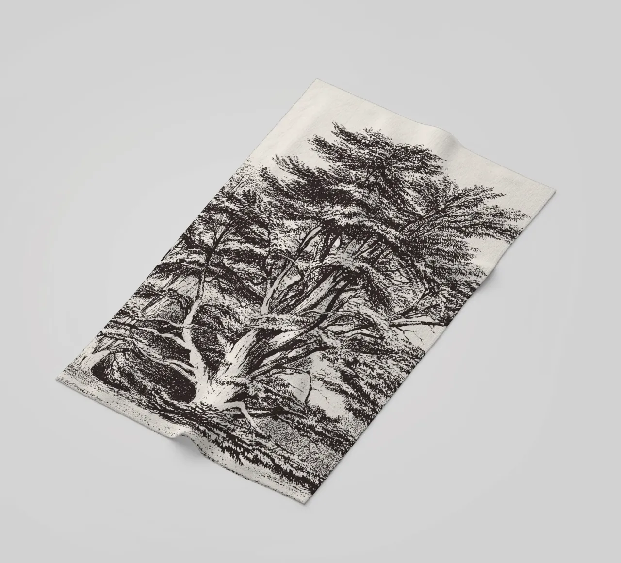 Cedar of Lebanon Tree Landscape telo mare da apoloprints