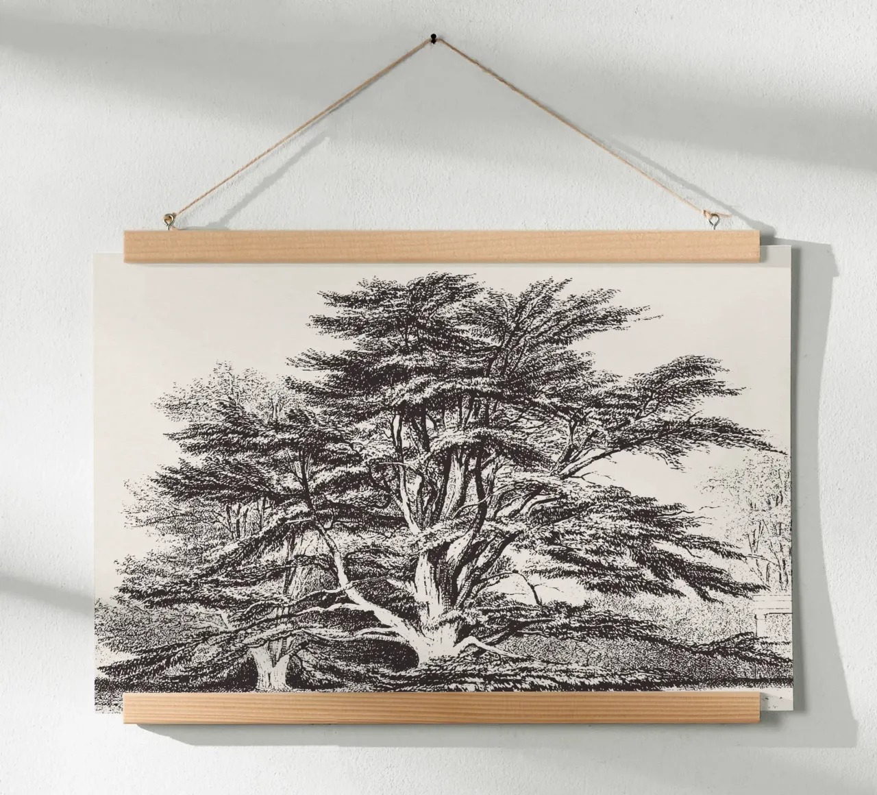 Cedar of Lebanon Tree Landscape poster con telaio in plastica da apoloprints