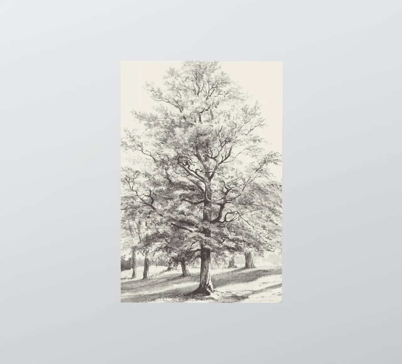 Tree Landscape Watercolor sticker by apoloprints