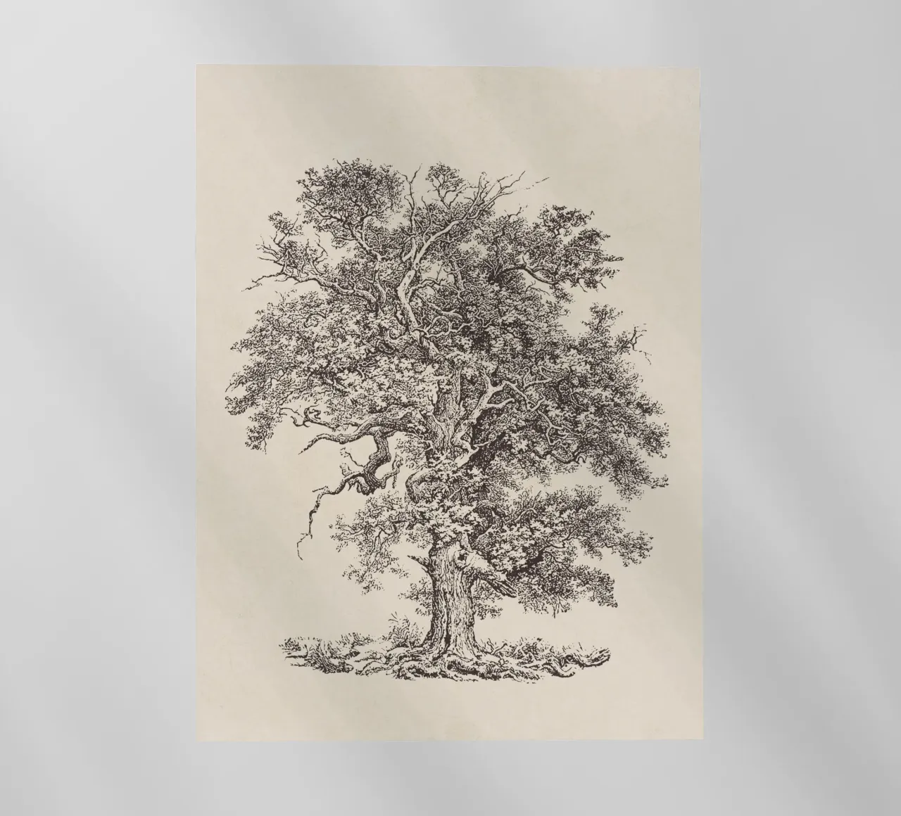 Tree Sketch - English Oak pellicola backlit da apoloprints