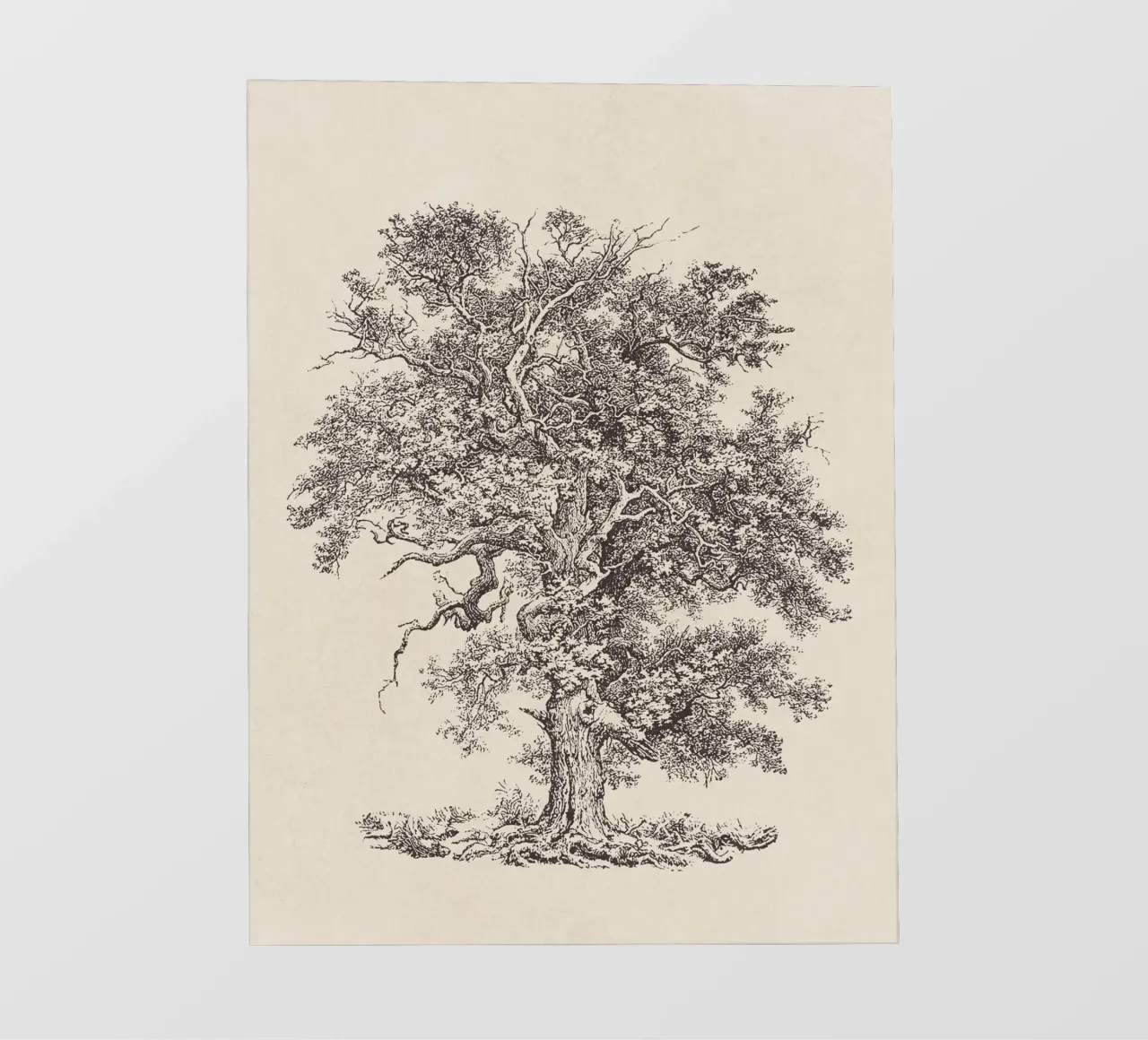 Engelse eikenschets fotobehang van Apolo Prints