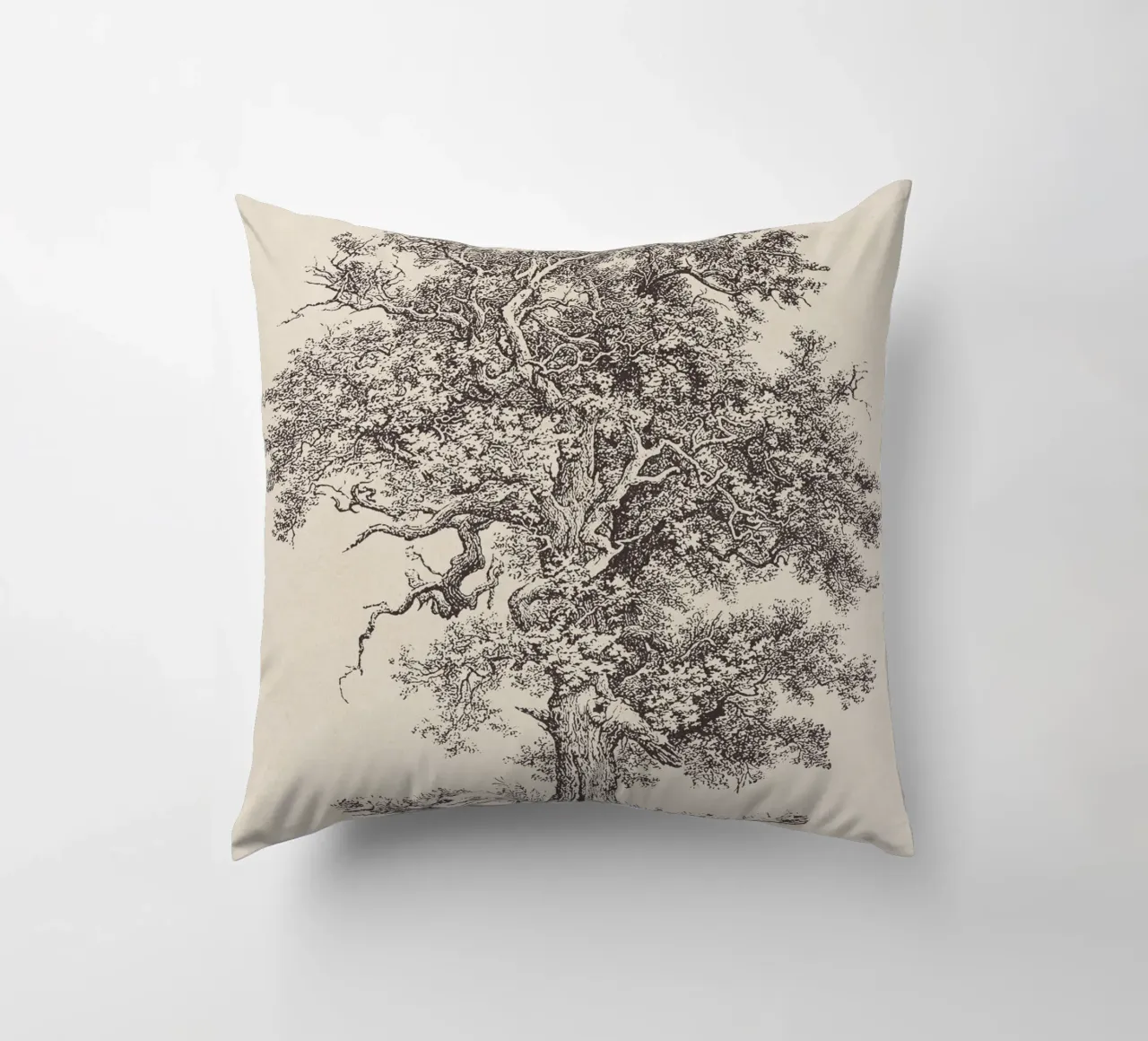 Tree Sketch - English Oak cuscino da apoloprints