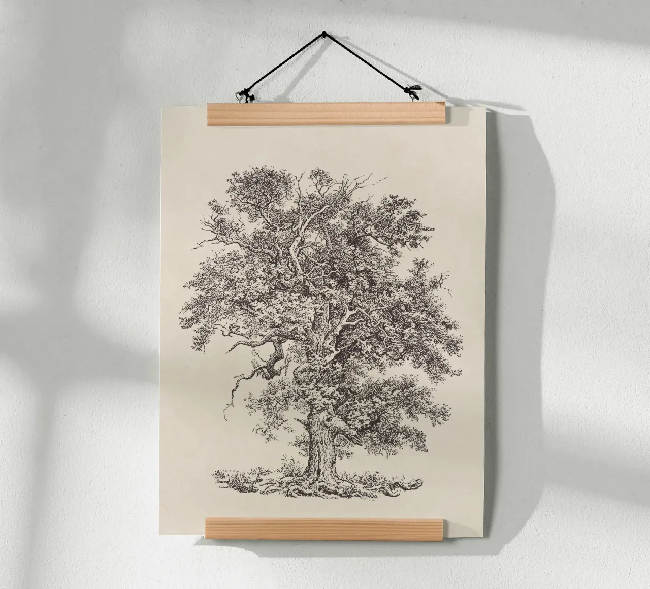 Tree Sketch - English Oak carta hahnemühle da apoloprints