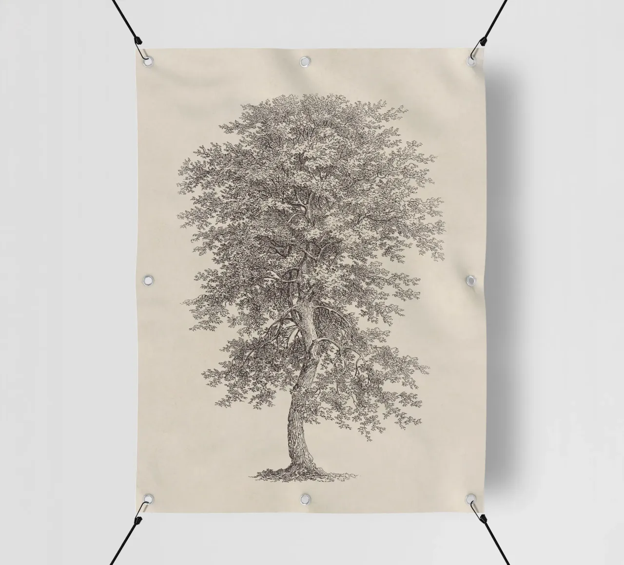 Tree Sketch - Hickory telo in pvc da apoloprints