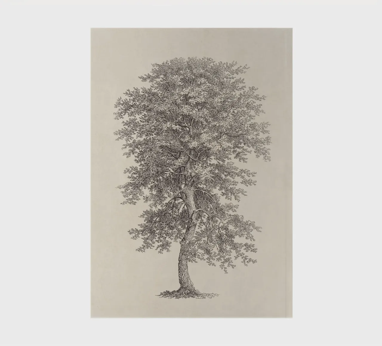 Tree Sketch - Hickory notebook by apoloprints