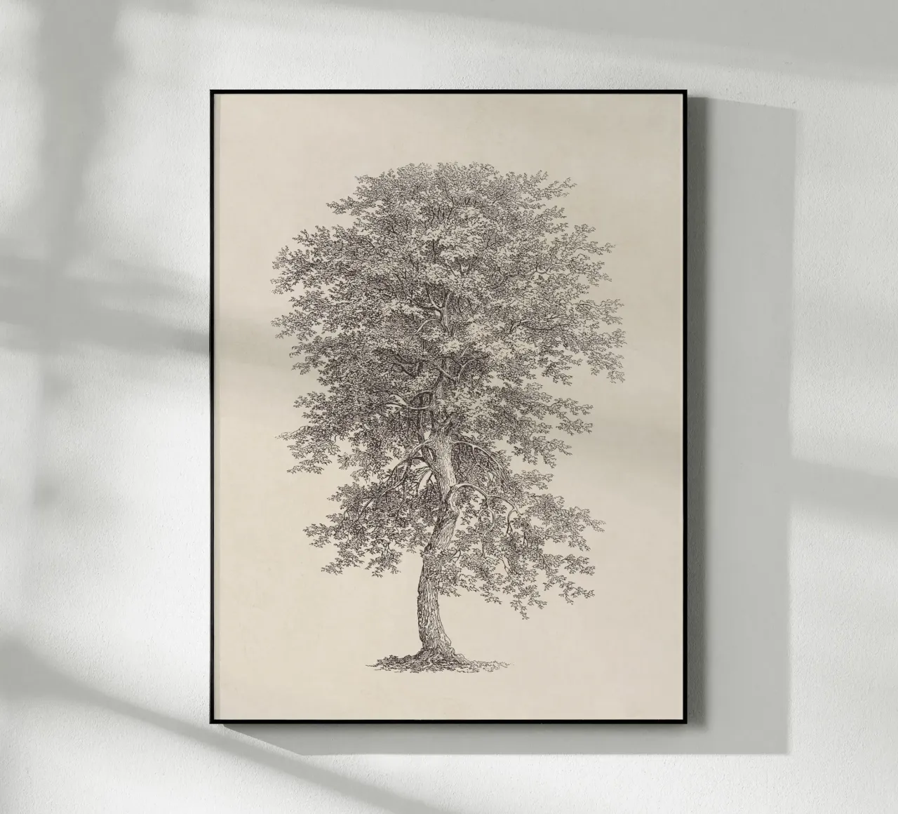 Tree Sketch - Hickory plexiglass da apoloprints