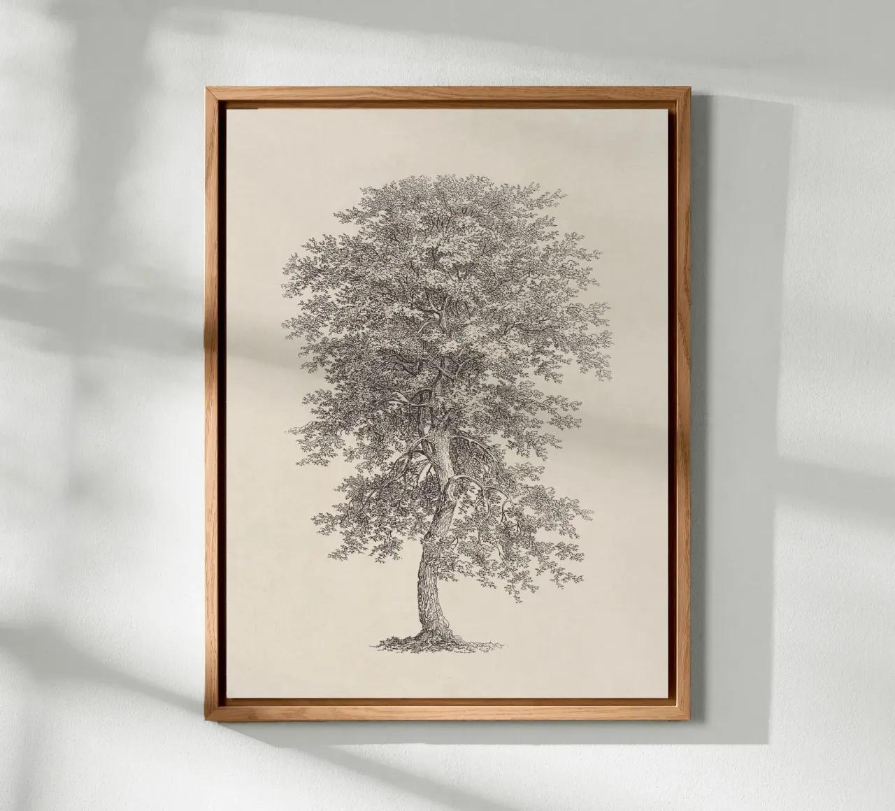Tree Sketch - Hickory alluminio dibond da apoloprints