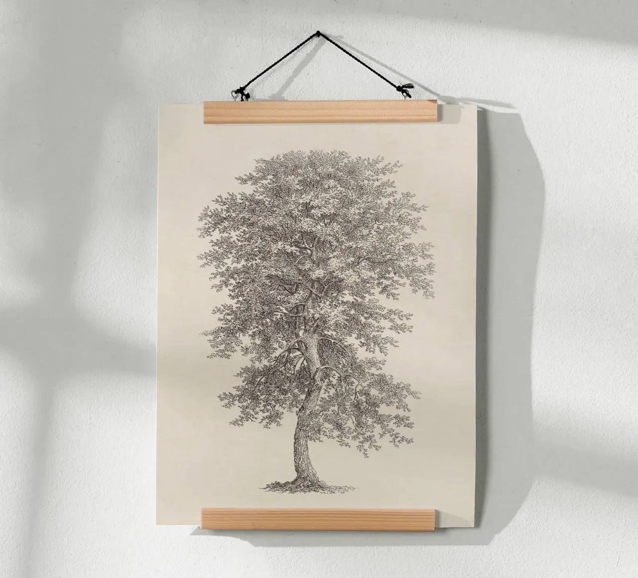 Tree Sketch - Hickory carta hahnemühle da apoloprints