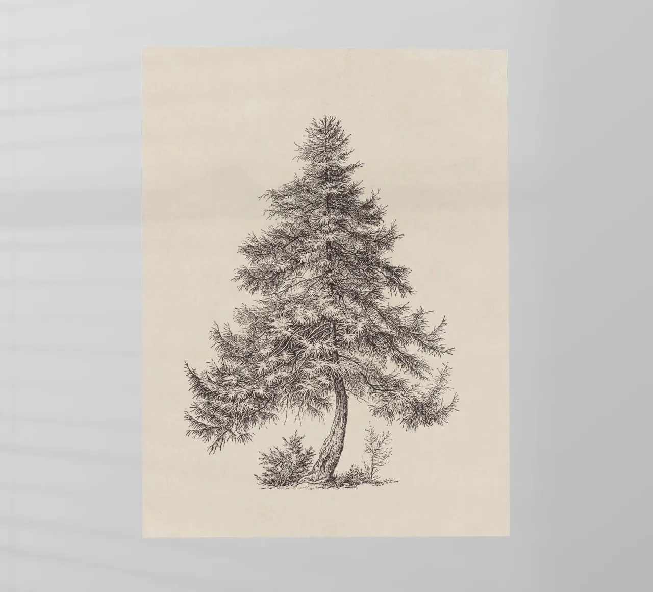 Tree Sketch - Larch pellicola backlit da apoloprints