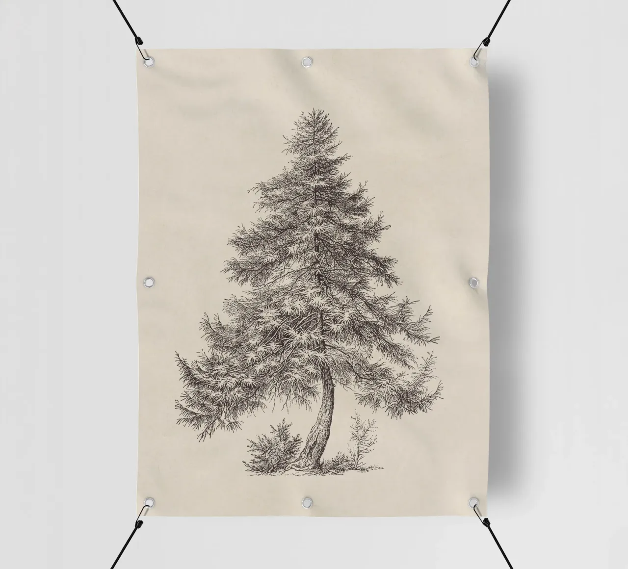 Tree Sketch - Larch telo in pvc da apoloprints