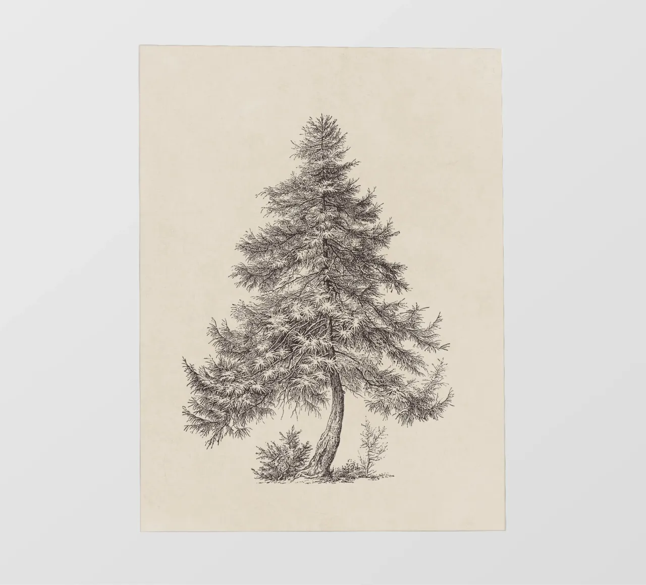 Tree Sketch - Larch telo in pvc da apoloprints