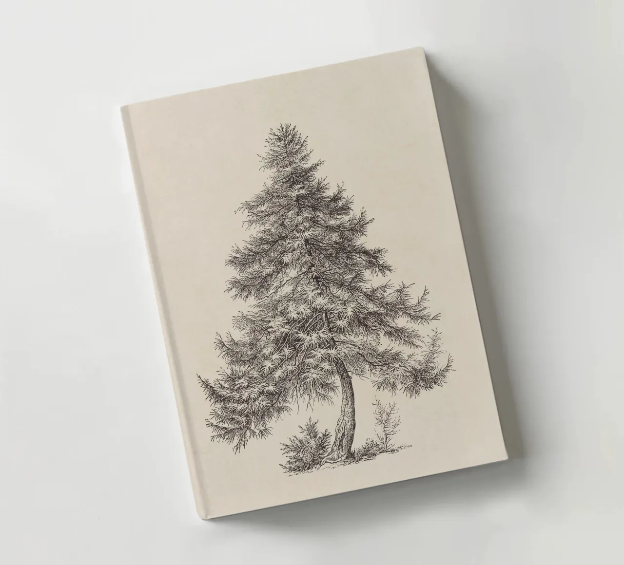 Tree Sketch - Larch notebook by apoloprints