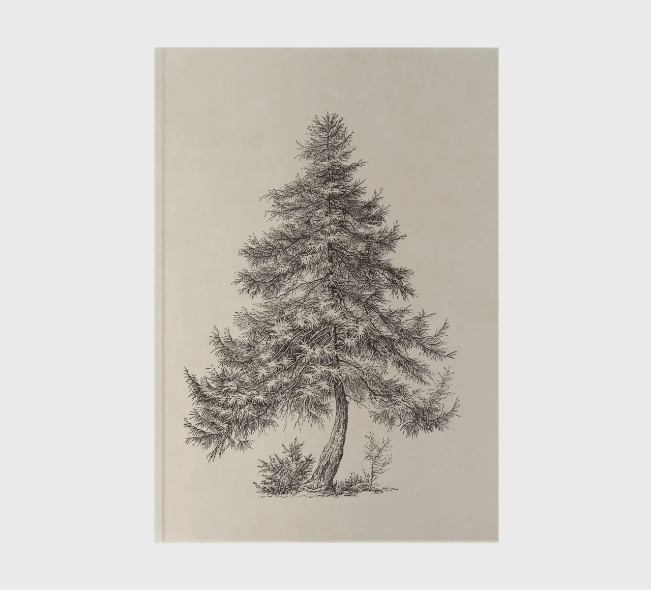 Tree Sketch - Larch notebook by apoloprints