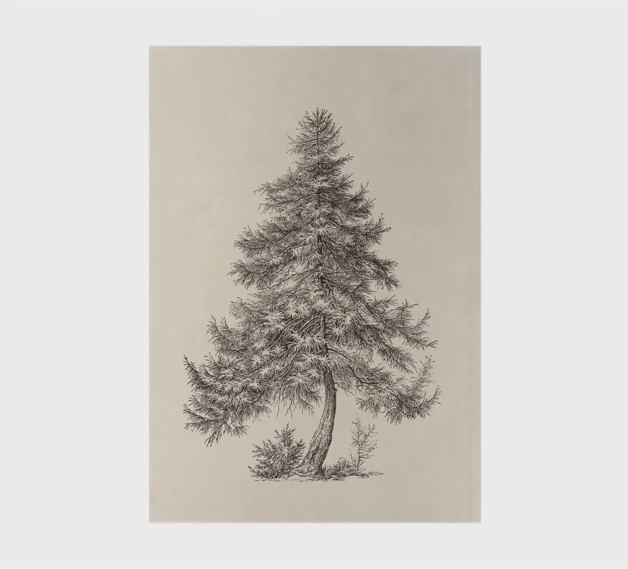 Tree Sketch - Larch notebook by apoloprints