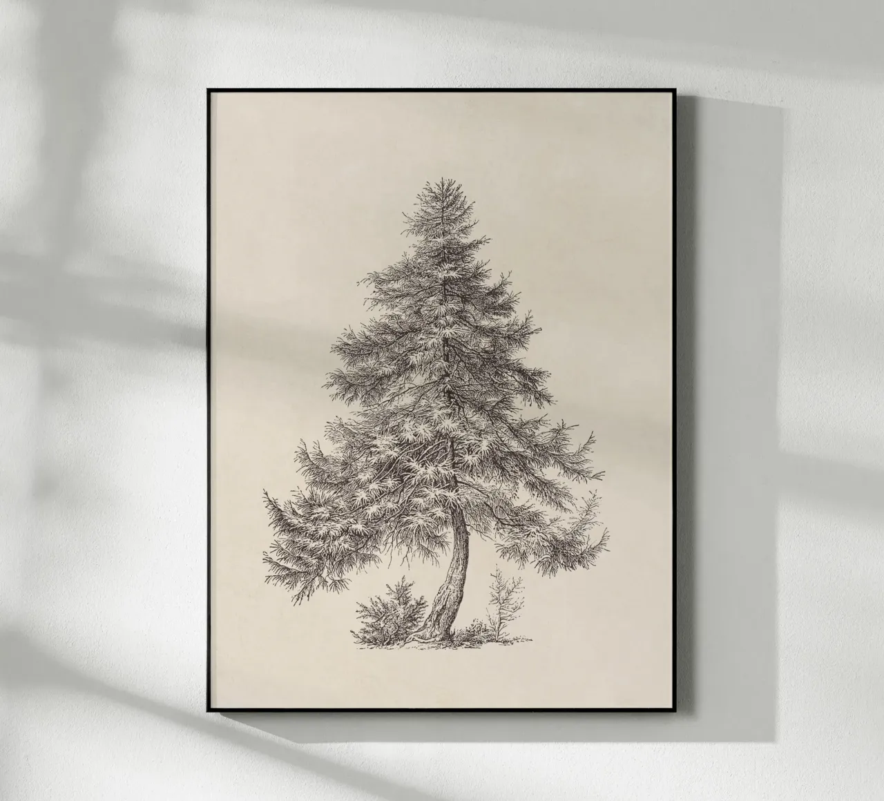 Tree Sketch - Larch plexiglass da apoloprints