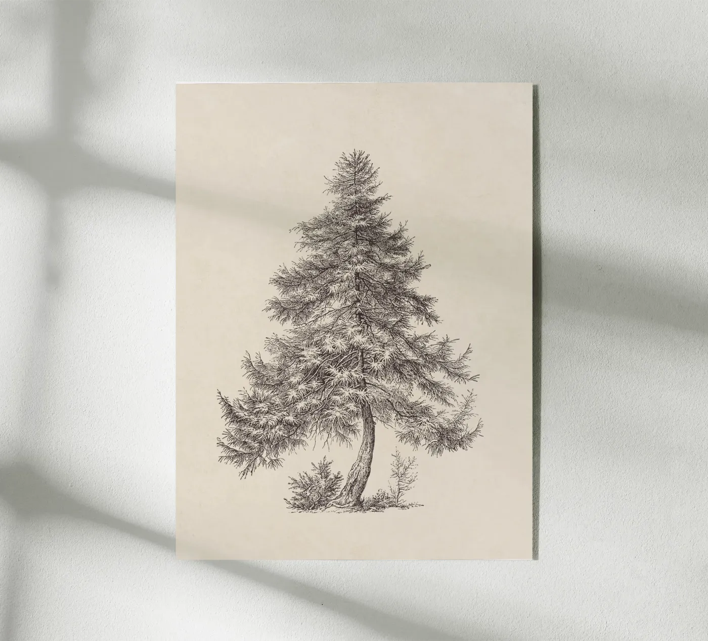 Schets van een lariksboom acryl van Apolo Prints