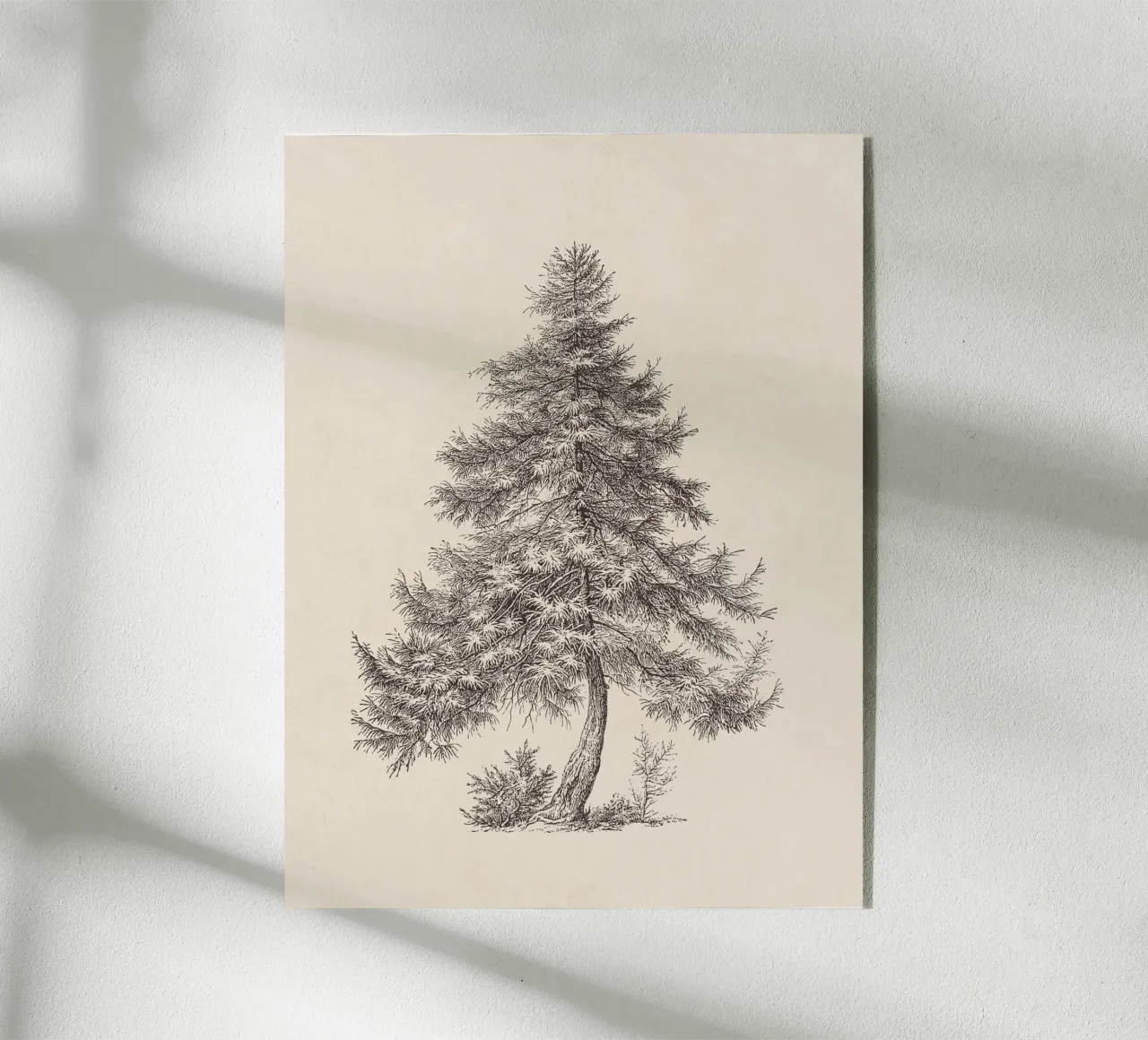 Tree Sketch - Larch plexiglass da apoloprints