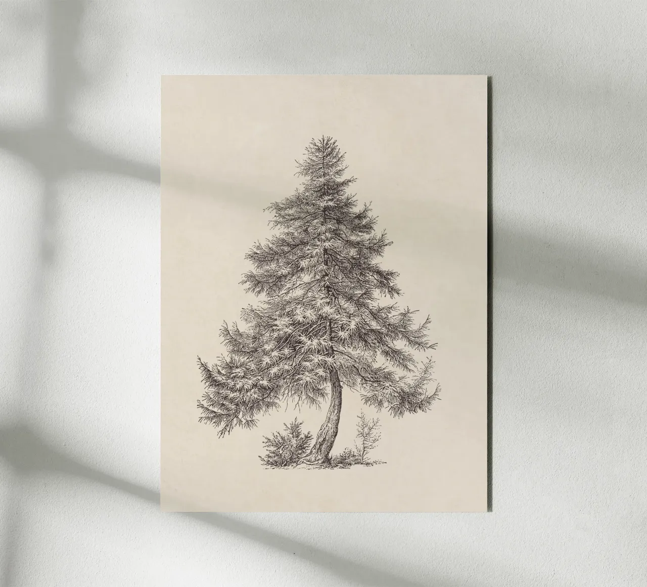 Tree Sketch - Larch pannello forex da apoloprints