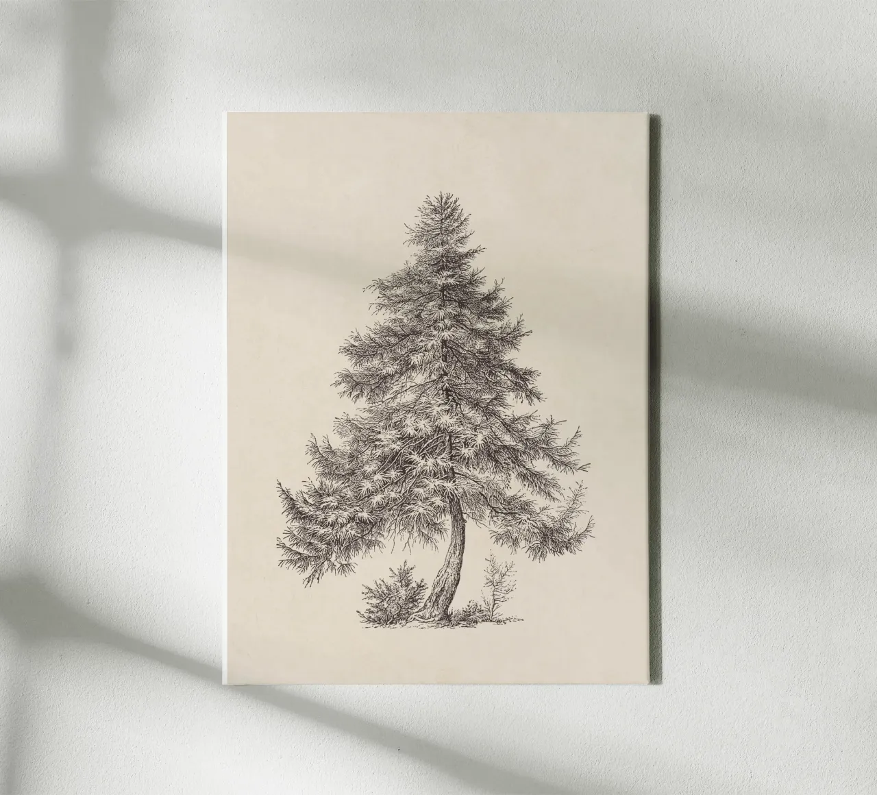 Tree Sketch - Larch tela da apoloprints
