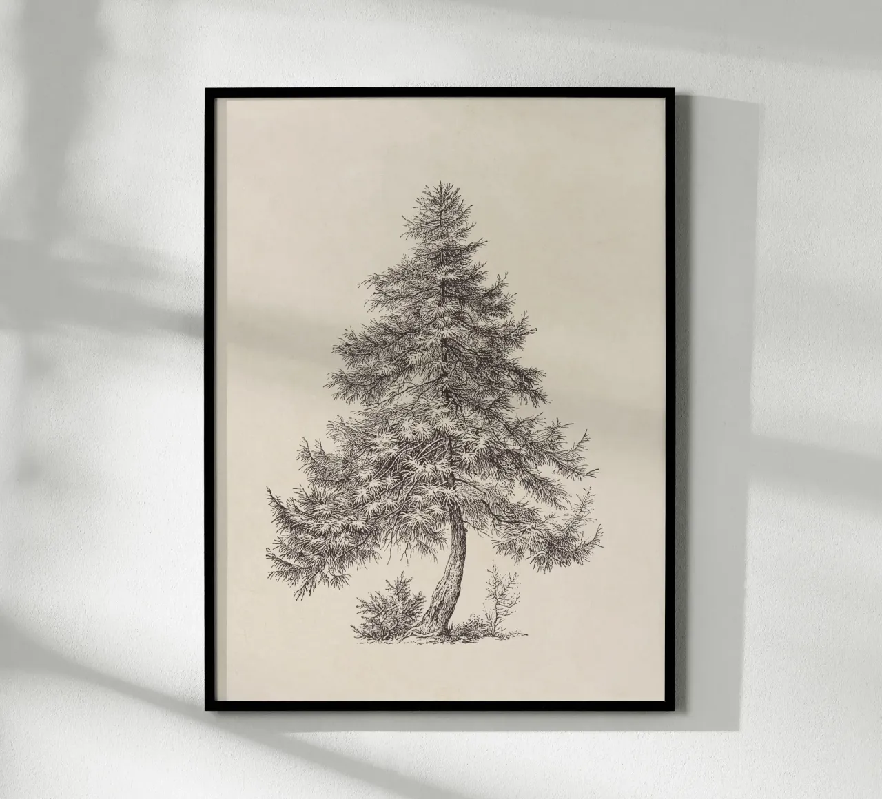 Tree Sketch - Larch carta hahnemühle da apoloprints