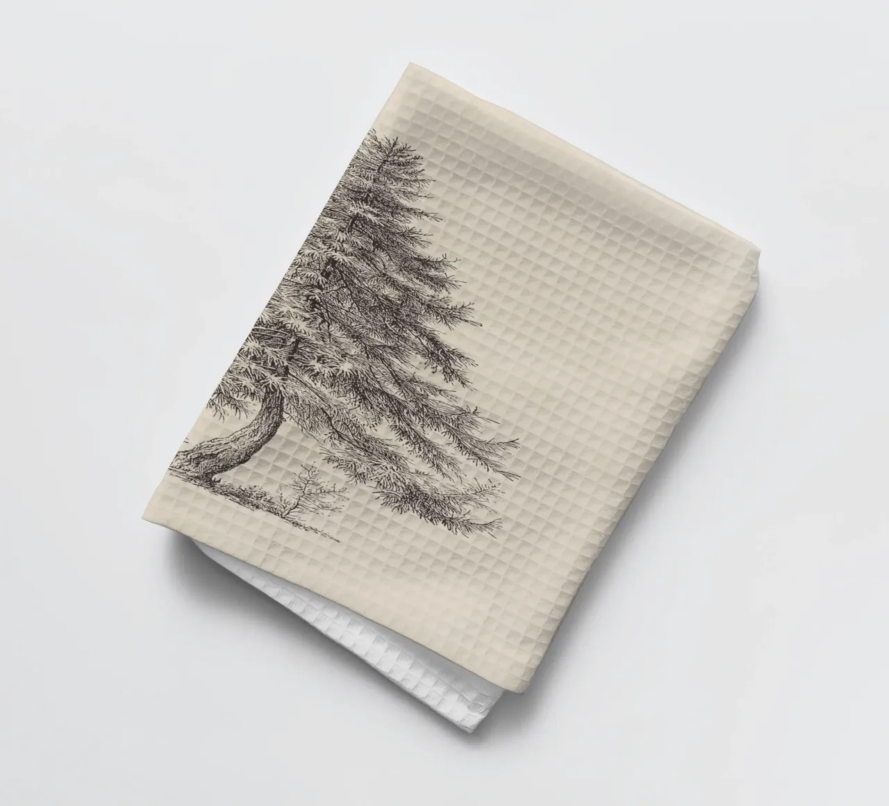 Tree Sketch - Larch canovaccio da cucina da apoloprints