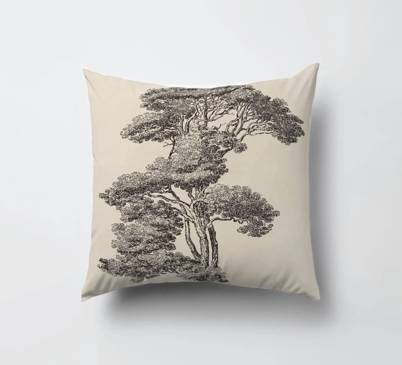 Tree Sketch - Loblolly Pine cuscino da apoloprints