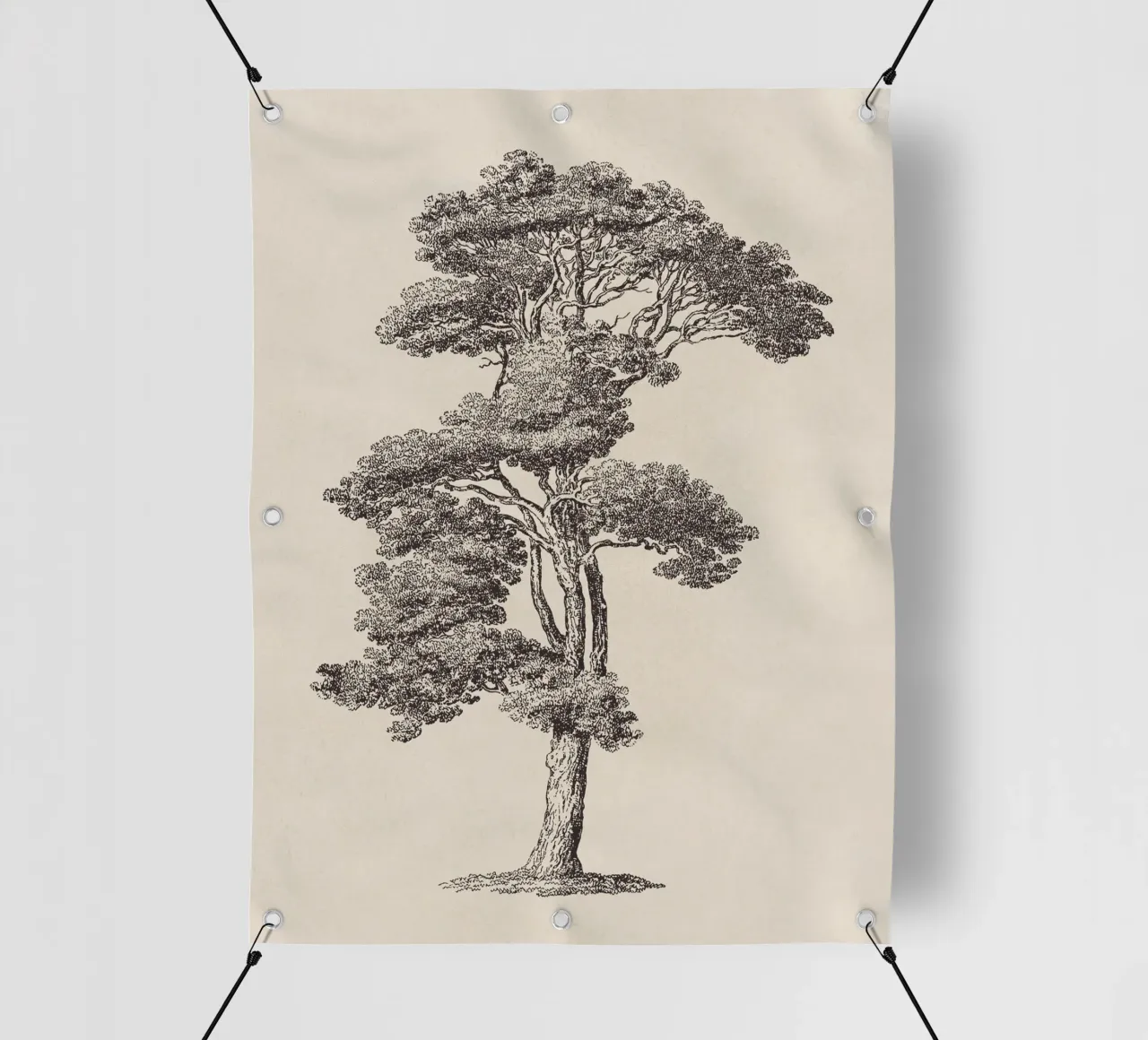 Tree Sketch - Loblolly Pine telo in pvc da apoloprints