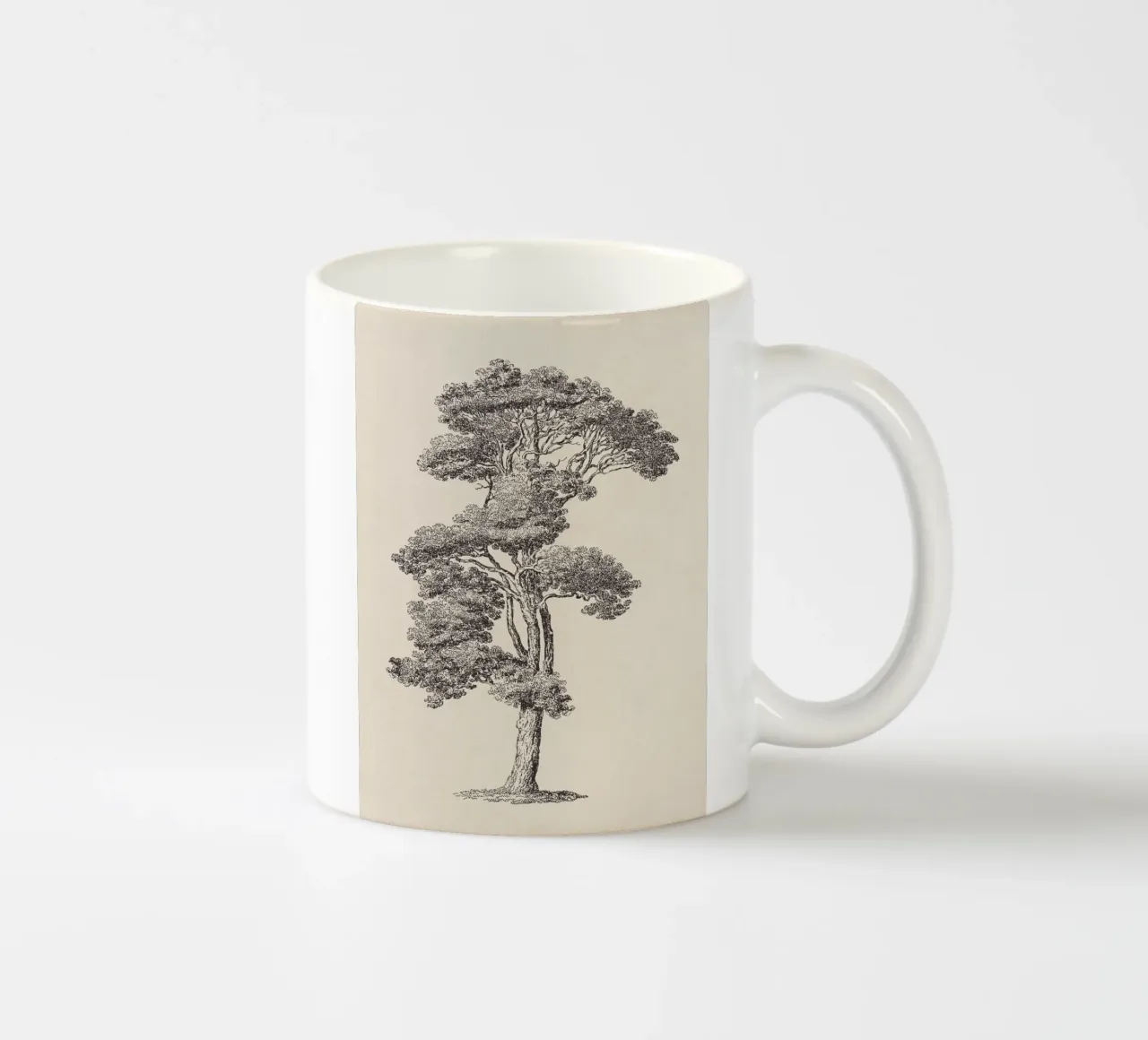 Tree Sketch - Loblolly Pine tazza in ceramica da apoloprints