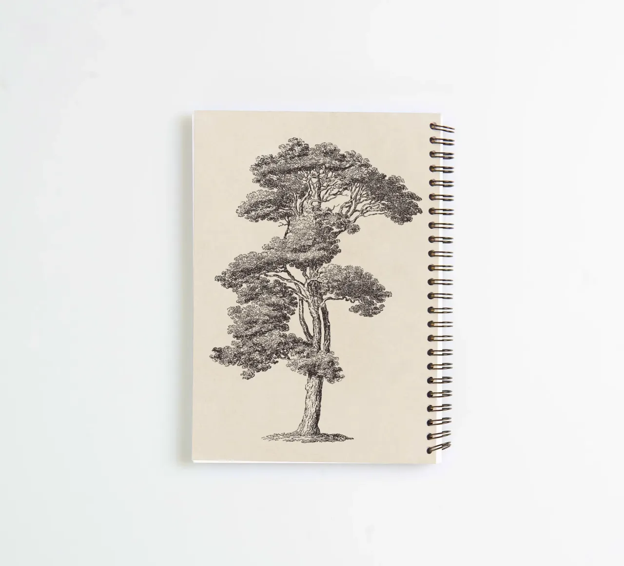 Tree Sketch - Loblolly Pine spiral notebook by apoloprints