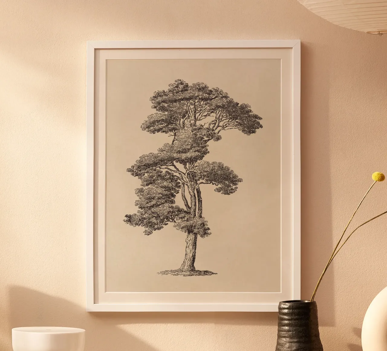 Tree Sketch - Loblolly Pine carta hahnemühle da apoloprints