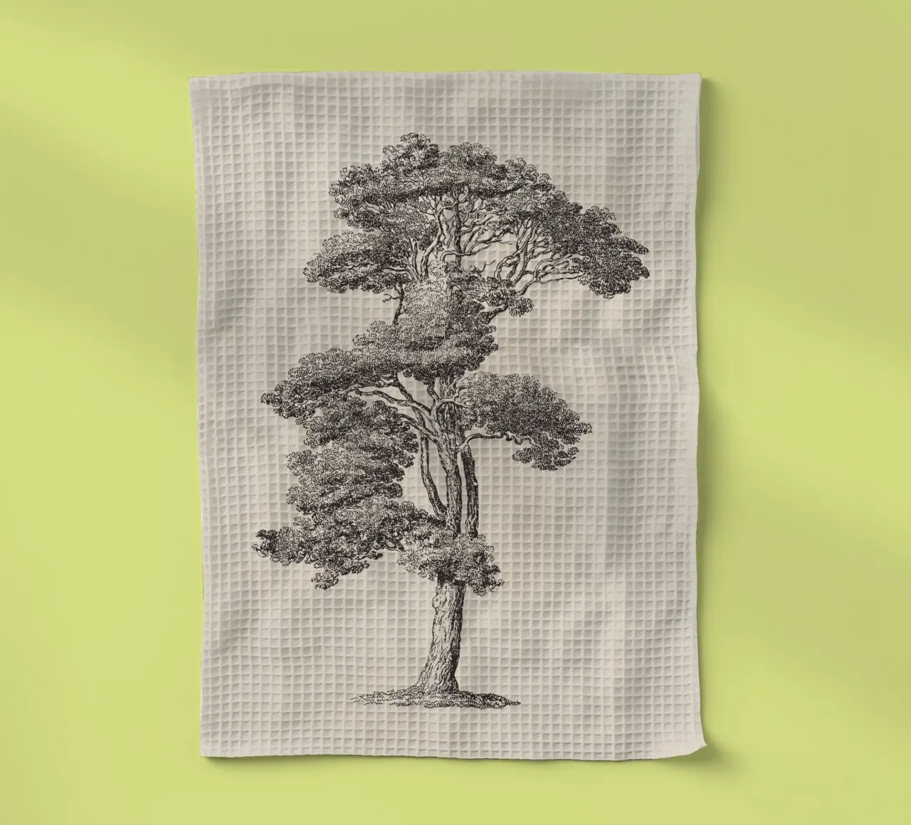 Tree Sketch - Loblolly Pine torchon de apoloprints