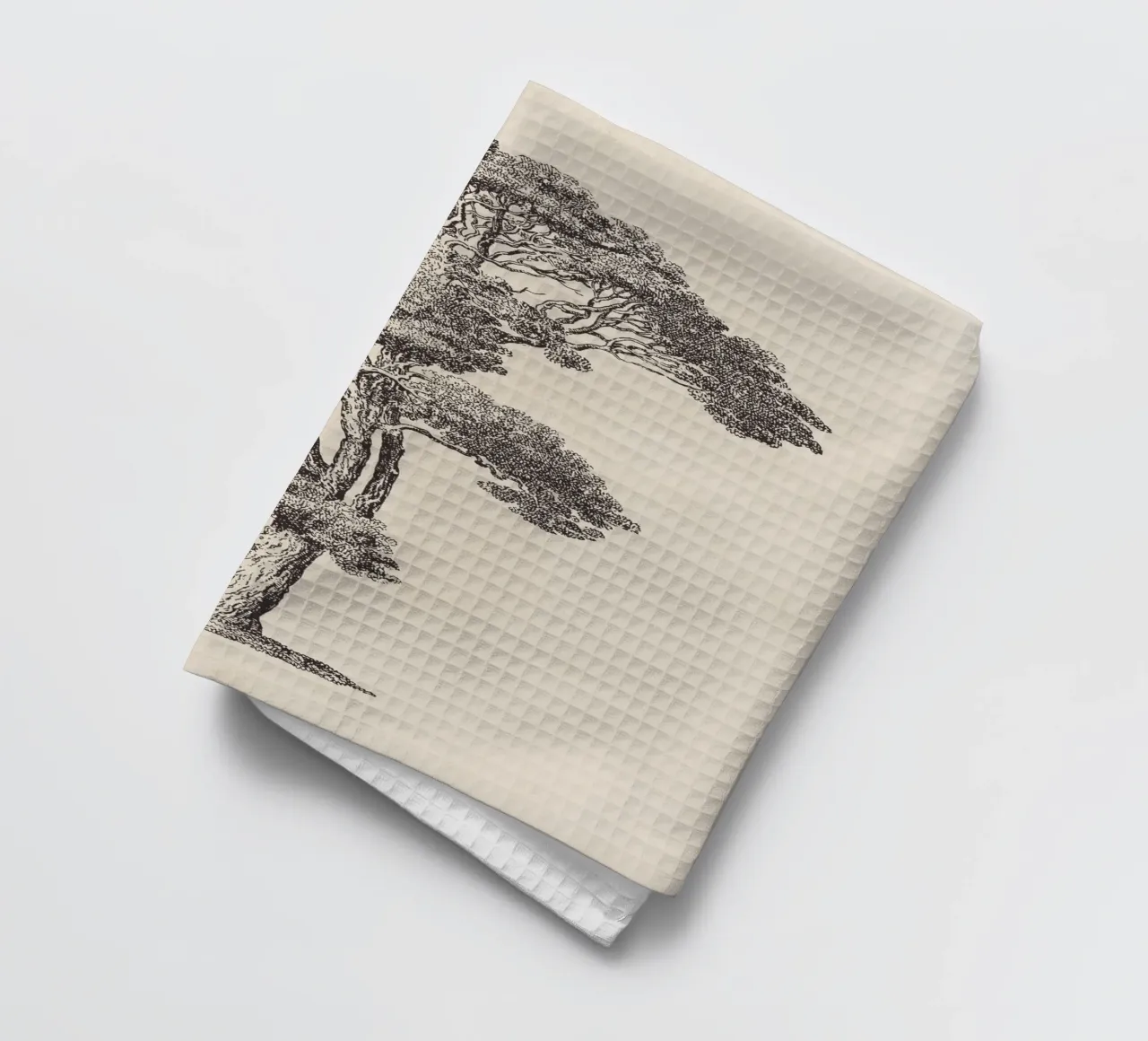 Tree Sketch - Loblolly Pine torchon de apoloprints