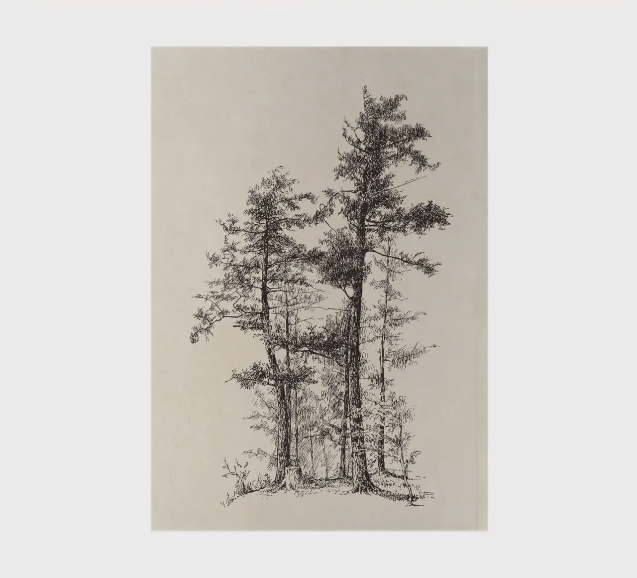 Tree Sketch - Longleaf Pine notebook by apoloprints
