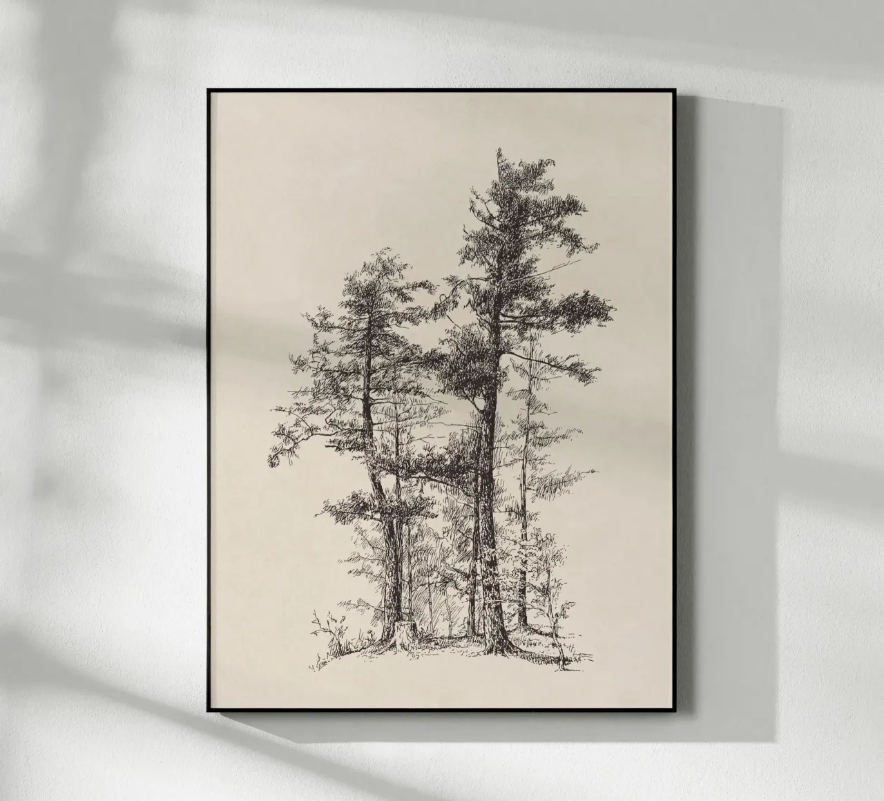 Tree Sketch - Longleaf Pine plexiglass da apoloprints