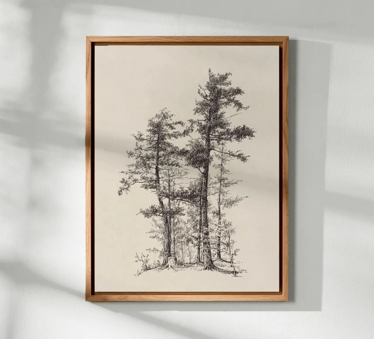 Tree Sketch - Longleaf Pine alluminio dibond da apoloprints