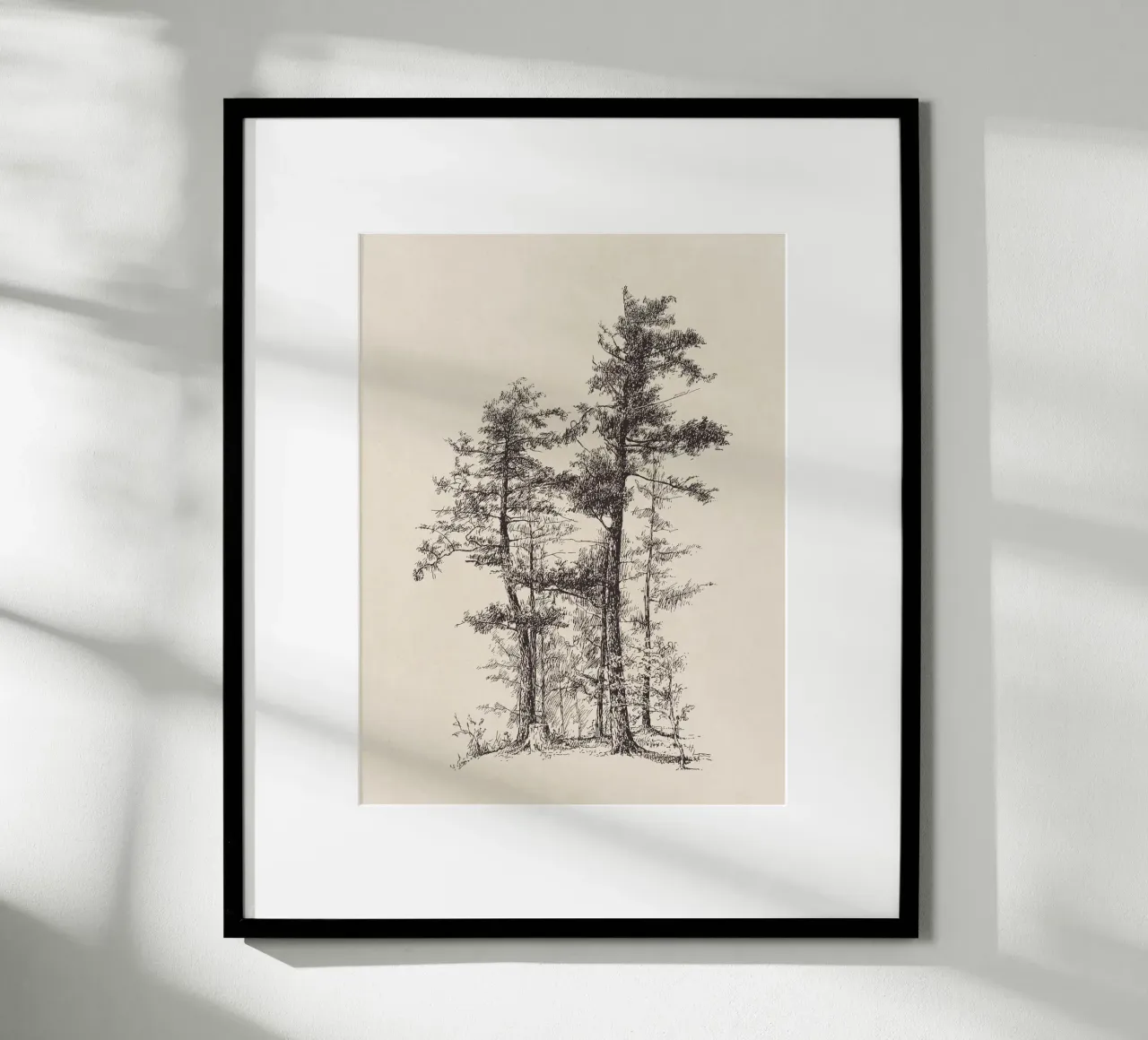 Tree Sketch - Longleaf Pine carta hahnemühle da apoloprints