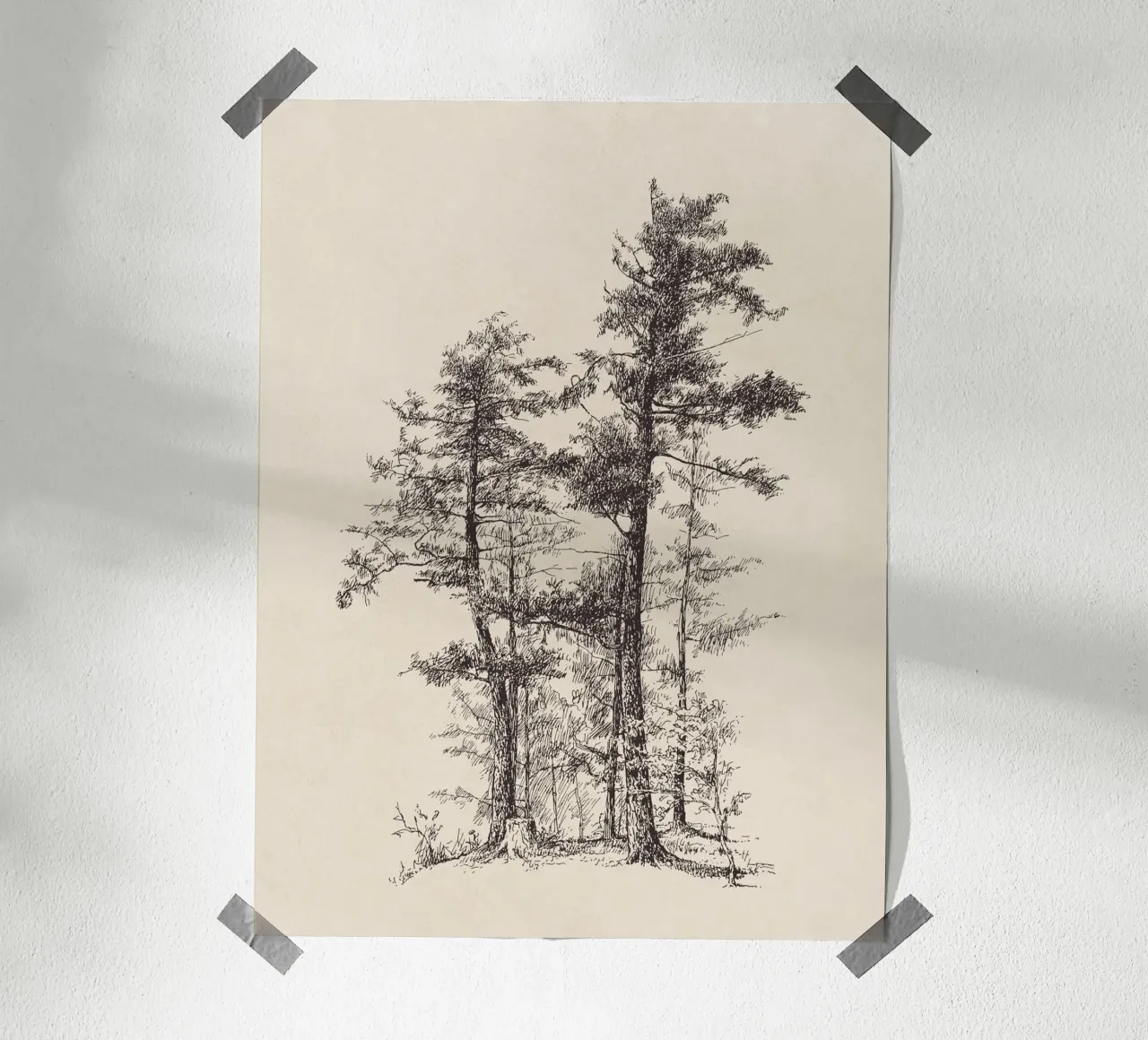 Tree Sketch - Longleaf Pine carta hahnemühle da apoloprints