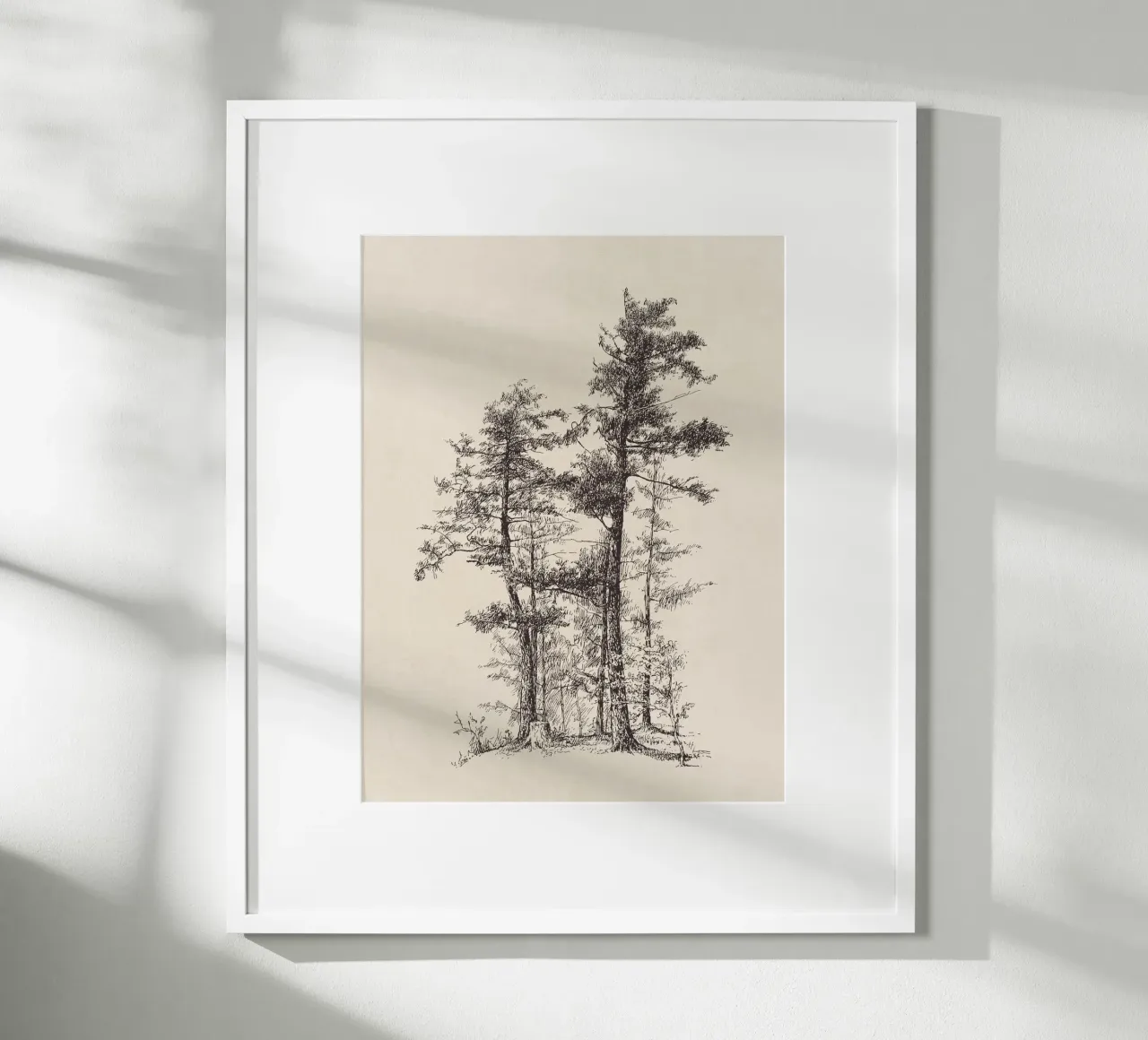 Tree Sketch - Longleaf Pine carta hahnemühle da apoloprints