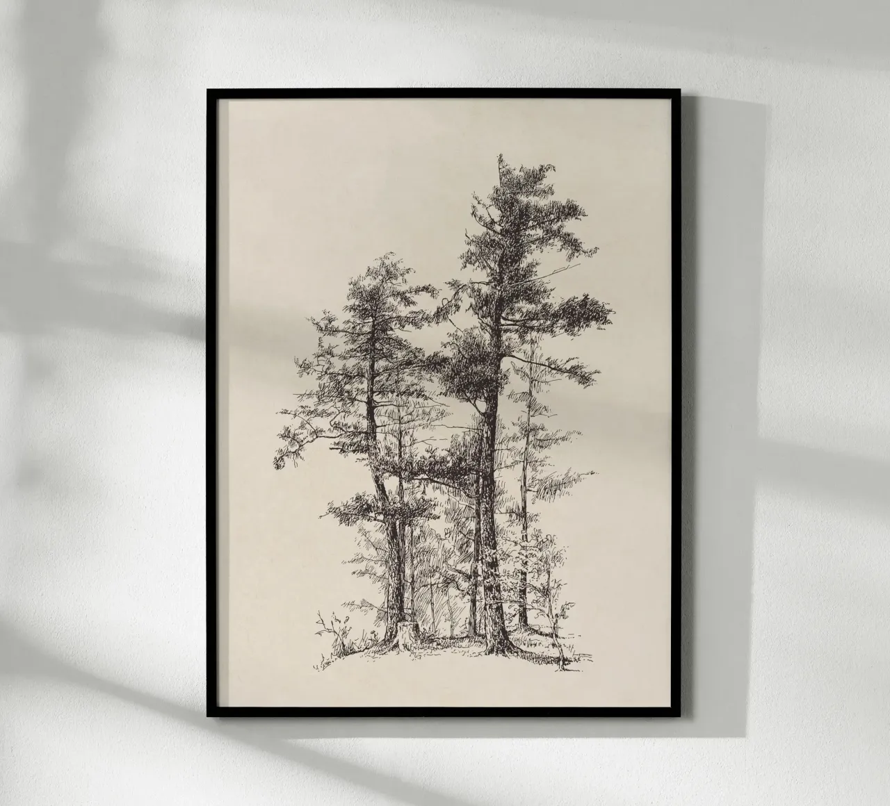 Tree Sketch - Longleaf Pine carta hahnemühle da apoloprints