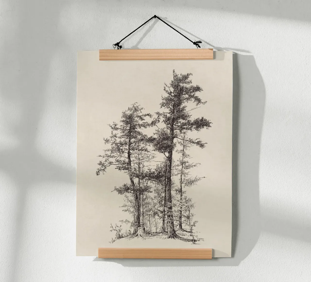 Tree Sketch - Longleaf Pine carta hahnemühle da apoloprints
