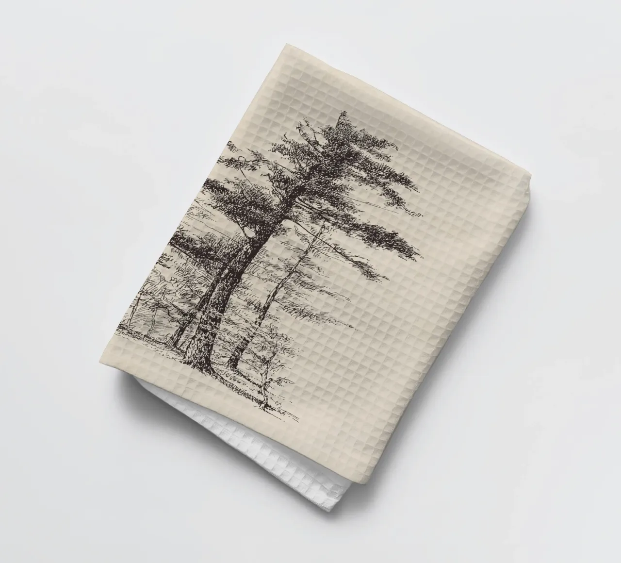 Tree Sketch - Longleaf Pine torchon de apoloprints